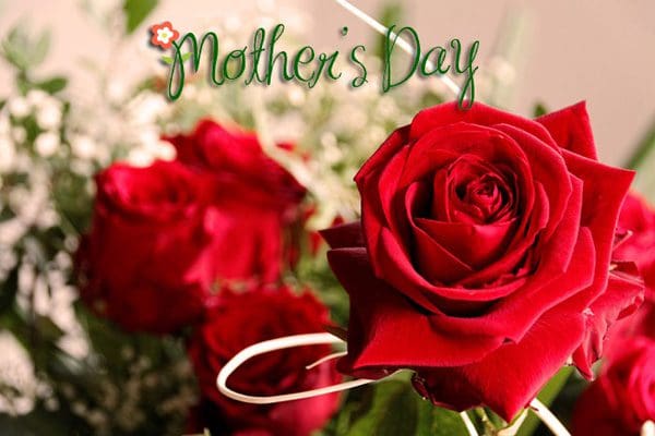 Frases de felíz Día de la Madre | Tarjetas con saludos por el Día de la  Madre