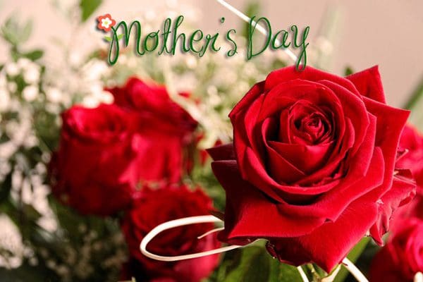 Frases de felíz Día de la Madre | Tarjetas con saludos por el Día de la Madre Frases de felíz Día de la Madre | Tarjetas con saludos por el Día de la Madre
